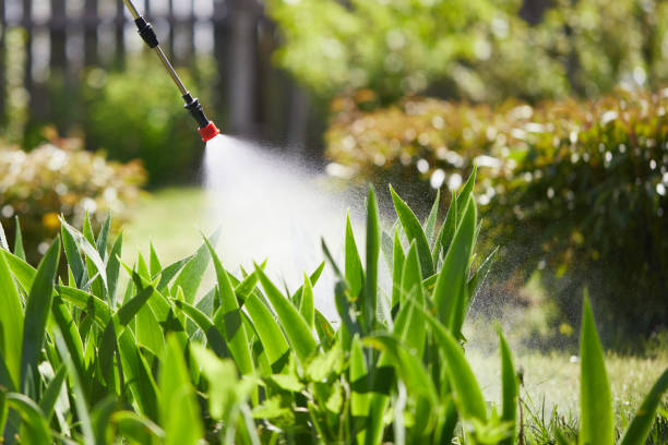 24/7 Emergency Mosquito Control experts in Prince's Lakes, IN